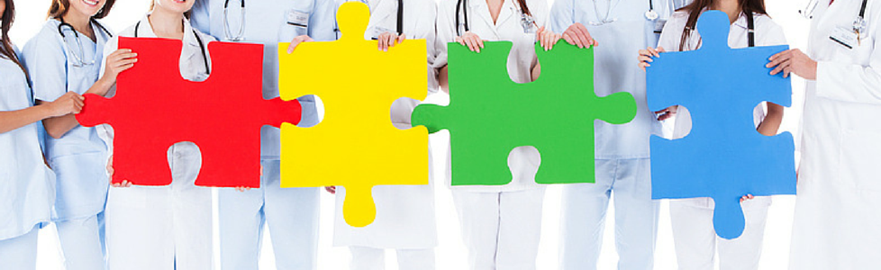 chiroptteam